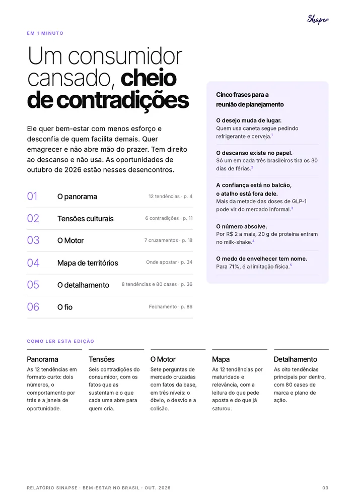 Página do relatório Bem-estar no Brasil: Resumo em um minuto